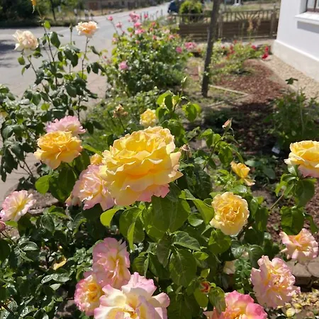 Horami - Hanami Apartamento Malchow (Mecklenburg-Vorpommern)