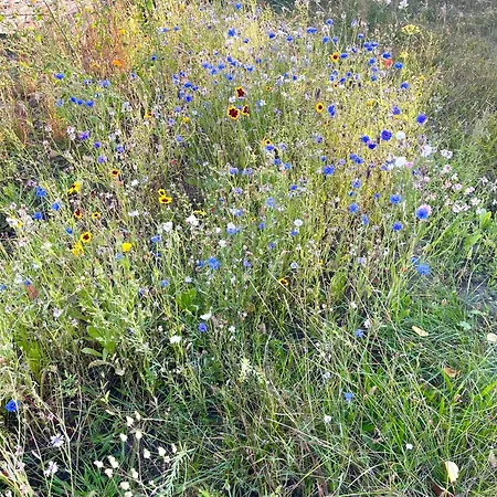 Apartamento Horami - Hanami Malchow (Mecklenburg-Vorpommern)